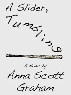 a slider, tumbling book cover image