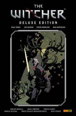 the witcher deluxe-edition, band 1 book cover image