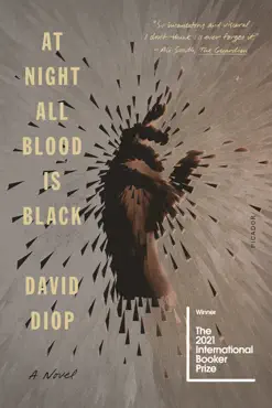 at night all blood is black book cover image