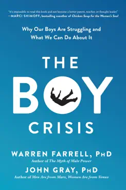 the boy crisis book cover image
