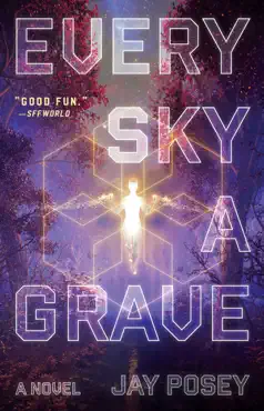 every sky a grave book cover image
