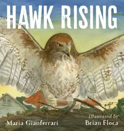 hawk rising book cover image