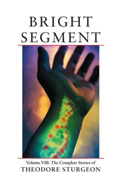 bright segment book cover image