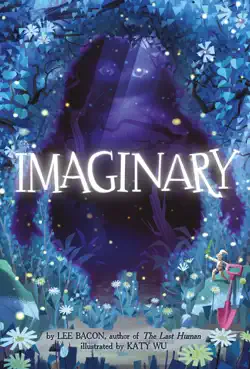 imaginary book cover image