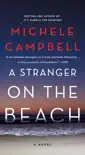 A Stranger on the Beach synopsis, comments
