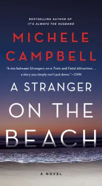 a stranger on the beach book cover image