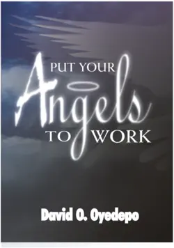 put your angels to work book cover image
