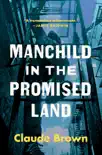 Manchild in the Promised Land synopsis, comments
