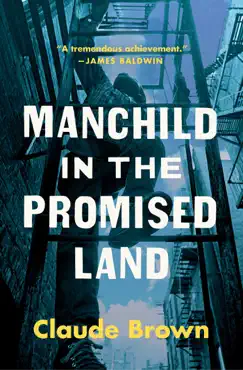 manchild in the promised land book cover image