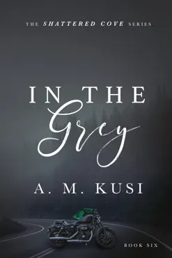 in the grey - a forbidden romance novel book cover image