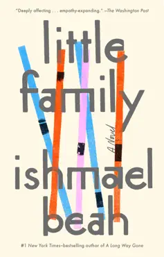 little family book cover image
