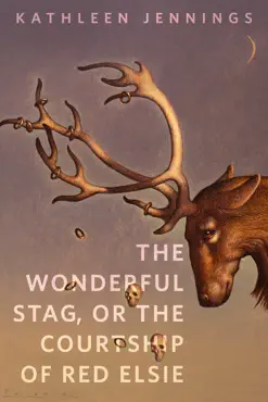 the wonderful stag, or the courtship of red elsie book cover image