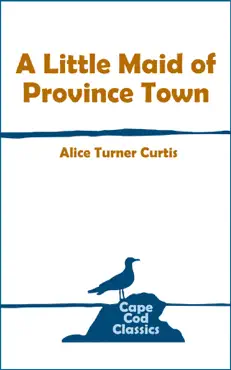 a little maid of province town book cover image