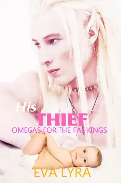 his thief book cover image