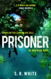 Prisoner synopsis, comments