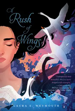a rush of wings book cover image