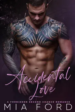 accidental love book cover image
