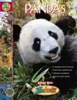 Pandas synopsis, comments