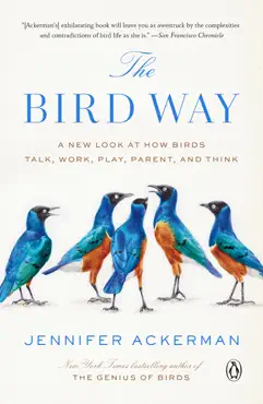 the bird way book cover image