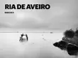 Ria de Aveiro Barcos II synopsis, comments