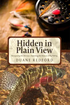 hidden in plain view book cover image