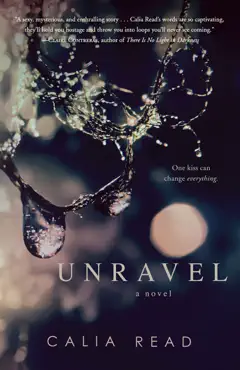 unravel book cover image