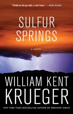 sulfur springs book cover image