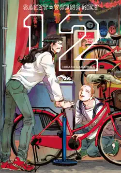 saint young men volume 12 book cover image