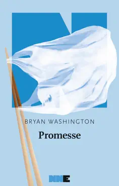 promesse book cover image
