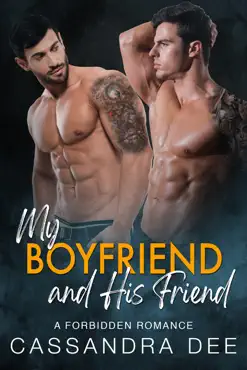 my boyfriend and his friend book cover image