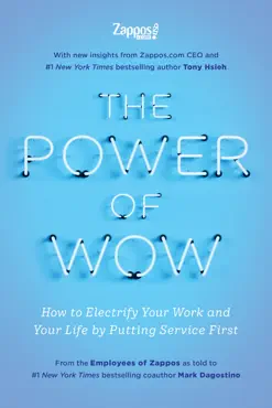 the power of wow book cover image