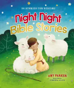 night night bible stories book cover image