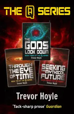 the q series book cover image