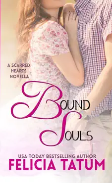 bound souls book cover image