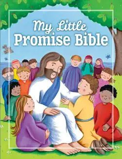 my little promise bible book cover image