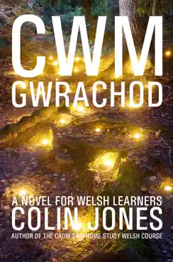 cwm gwrachod book cover image