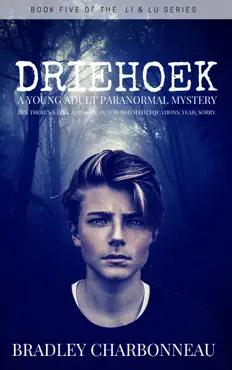 driehoek book cover image