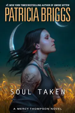 soul taken book cover image