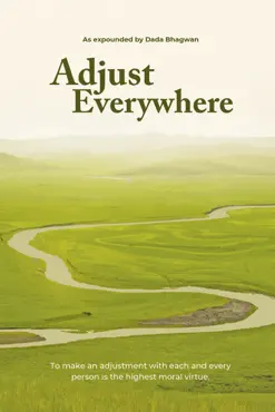 adjust everywhere (in english) book cover image