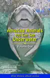 Amazing Animals You Can See Underwater - Volume One synopsis, comments
