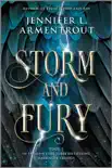 Storm and Fury synopsis, comments