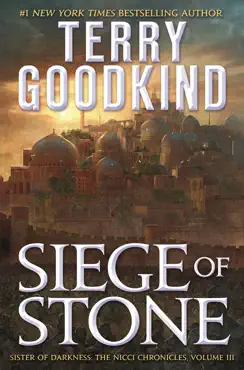 siege of stone book cover image