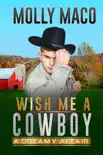 A Dreamy Affair - Western Romance synopsis, comments