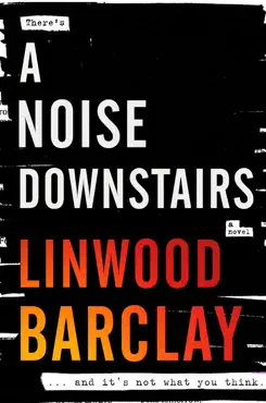 a noise downstairs book cover image