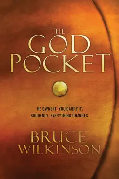 the god pocket book cover image