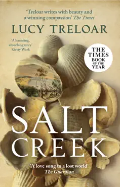 salt creek book cover image