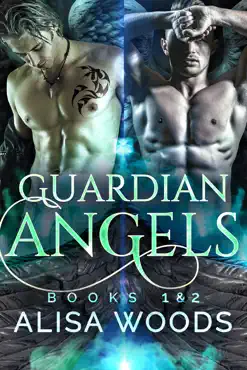 guardian angels box set book cover image