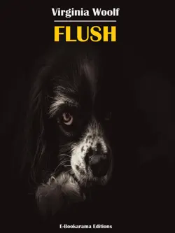 flush imagen de la portada del libro