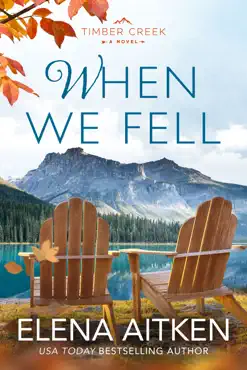 when we fell book cover image