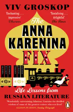 the anna karenina fix imagen de la portada del libro